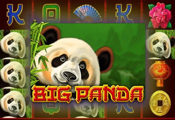 Dreamplaycasino : le meilleur des jeux de casino en ligne.
