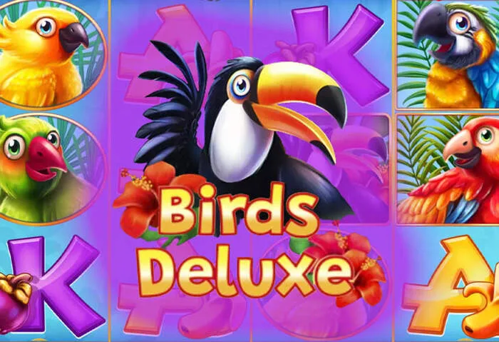 Exklusive CasinoName Boni und Willkommenspakete